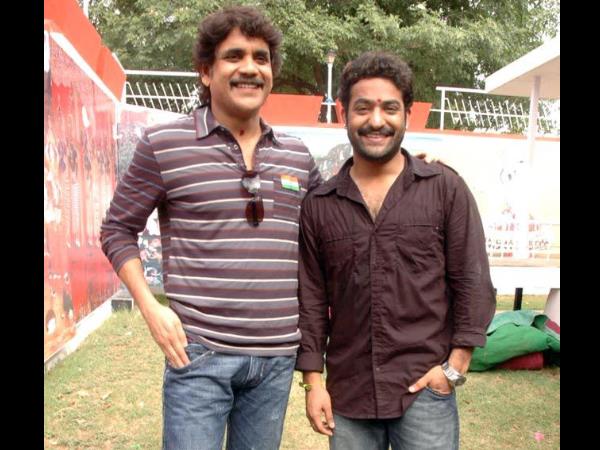 Nagarjuna At Brindavanam Opening