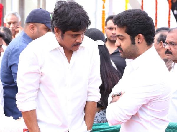 Vamsi Directed NTR In Brindavanam