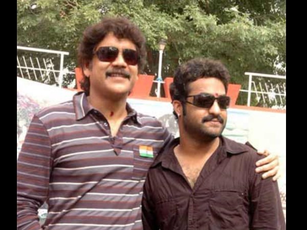 Will Nag-NTR Accept Vamsi's Offer?