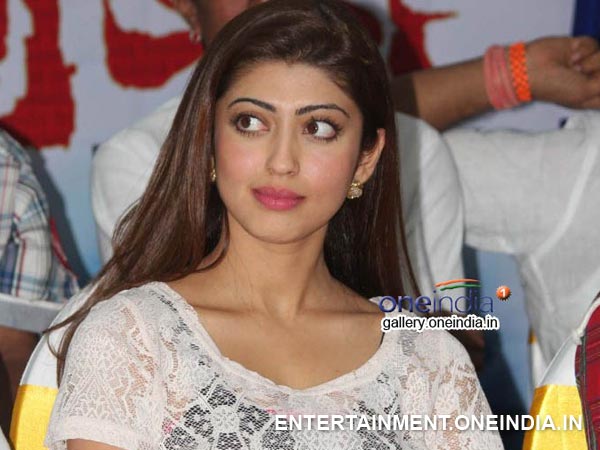 Pranitha In Brahma Success Meet