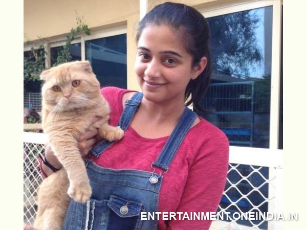 Priyamani With Animals