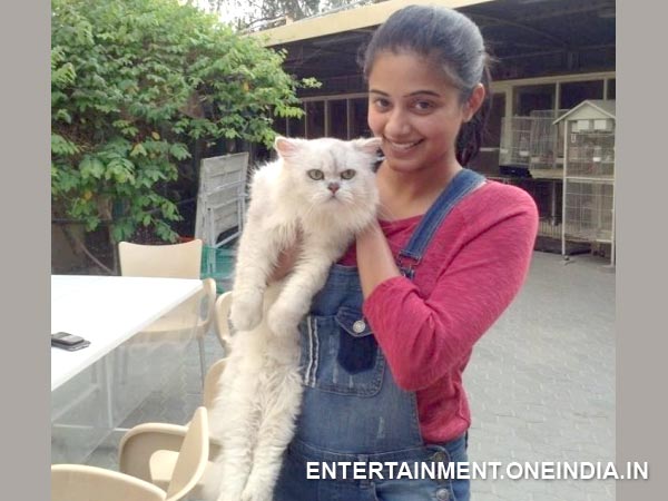 Priyamani In Ambareesha