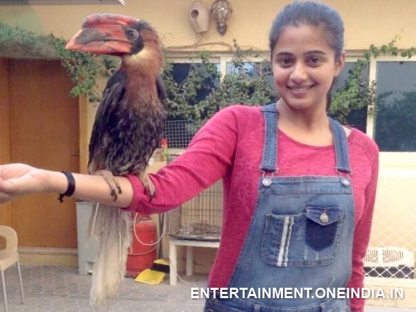Priyamani With Hornbill 