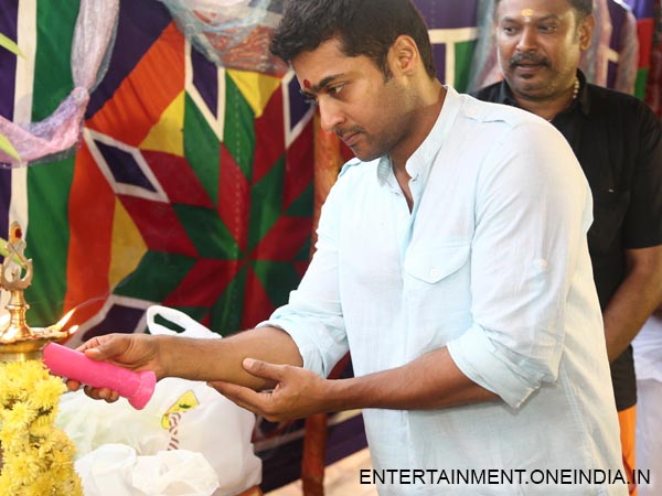 Picture: Surya Lighting A Lamp