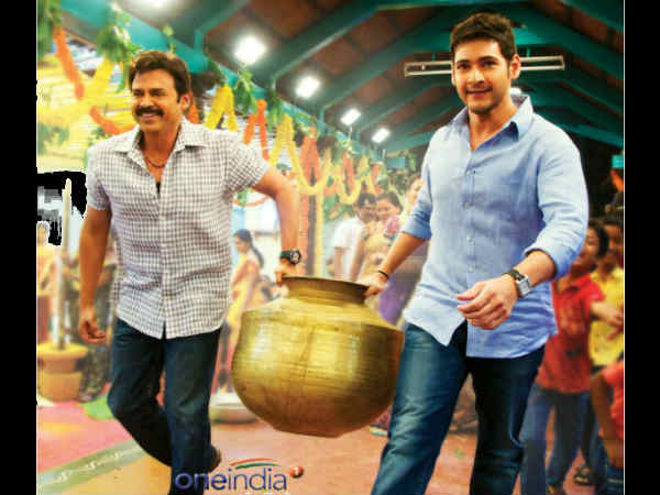 SVSC - First Week Collection