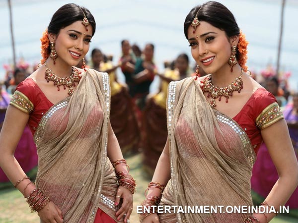 Shriya Saran In Half Saree