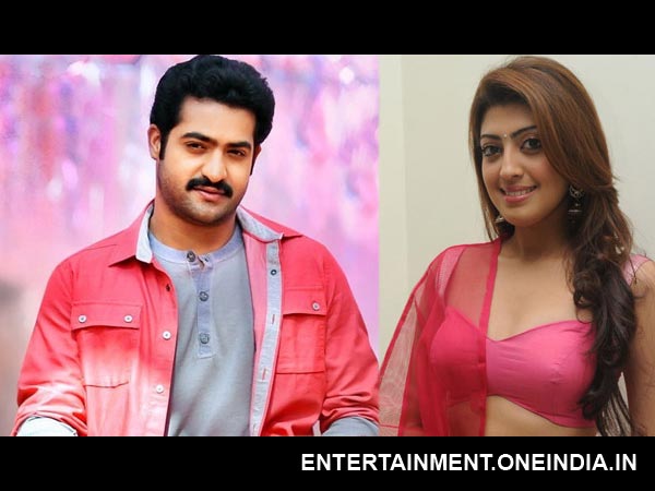 Pranitha's Birthday Wishes To Junior NTR