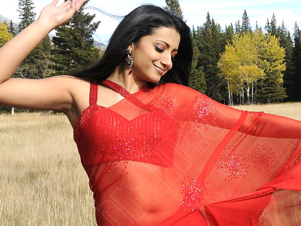 Picture: Red Hot Trisha In Saree