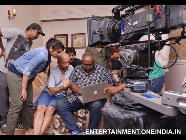 Lights Camera Action