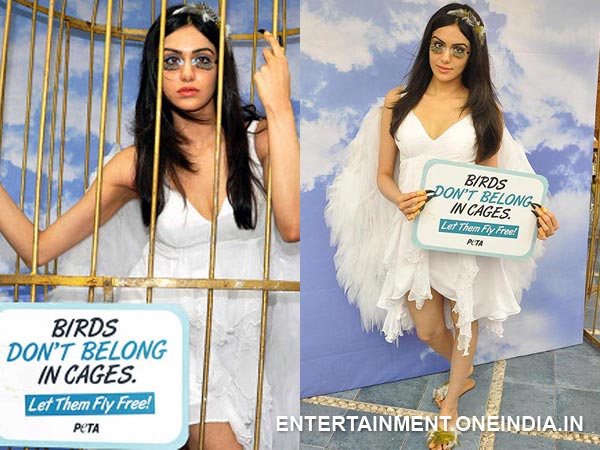 Adah Sharma In PETA Ad