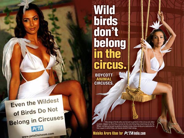 Malaika Arora In PETA Ad