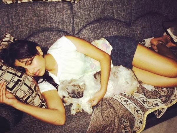 Amala Paul's Pet Dog