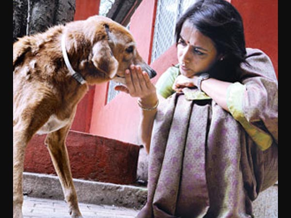 Amala Akkineni's Pet Dog