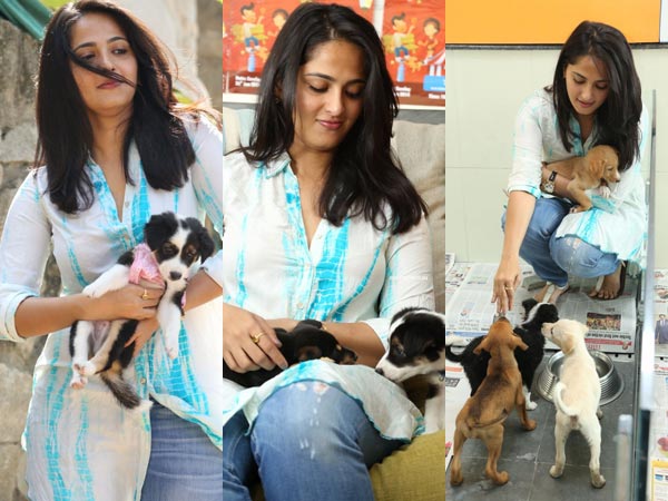 Image result for Kollywood actors with their pets