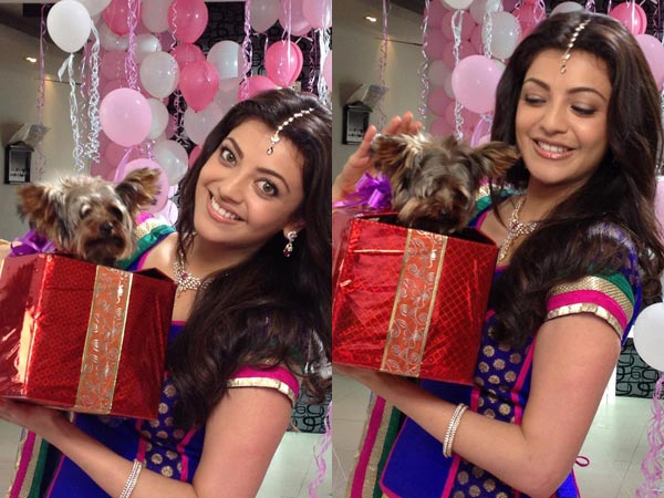 Kajal Aggarwal's Pet Dog