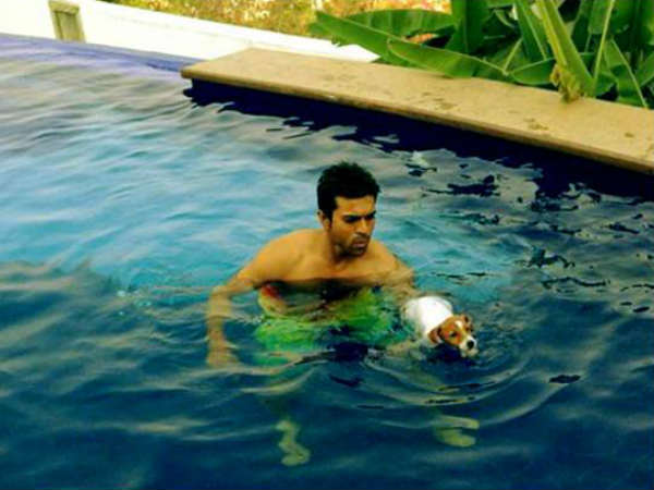 Ram Charan Teja's Pet Dog