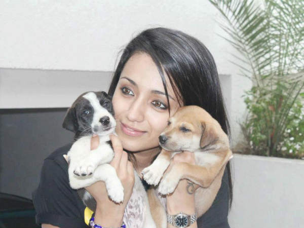 Trisha Krishnan's Pet Dog