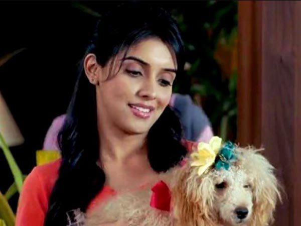 Asin's Pet Dog