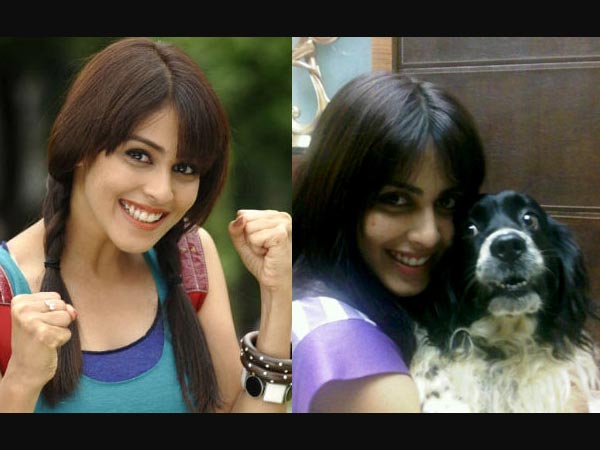 Genelia D'Souza's Pet Dog