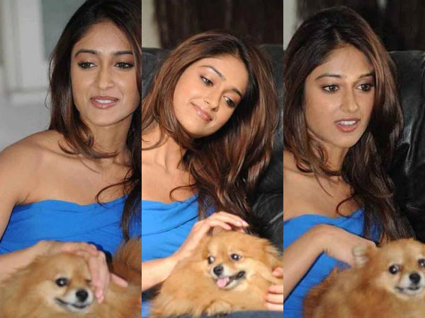 Ileana D'Cruz's Pet Dog