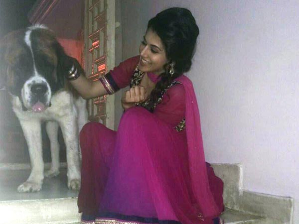Taapsee Pannu's Pet Dog