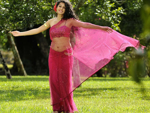 Taapsee In Sheer Pink Saree
