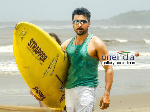 Cool & Calm Surya