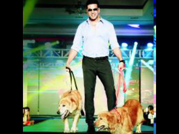 Akshay Kumar Walks The Ramp With His Dogs