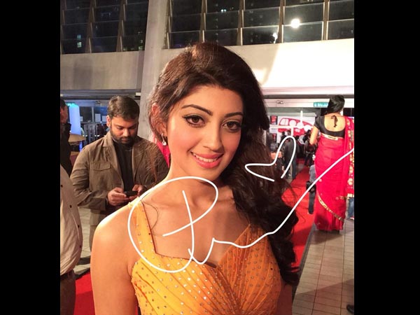 Pranitha At SIIMA 2014