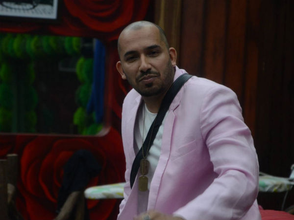 Bigg Boss 8 Perfect Platform To Promote My Film Roar: Ali Quli Mirza Bigg Boss 8 Perfect Platform To Promote My Film Roar: Ali Quli Mirza