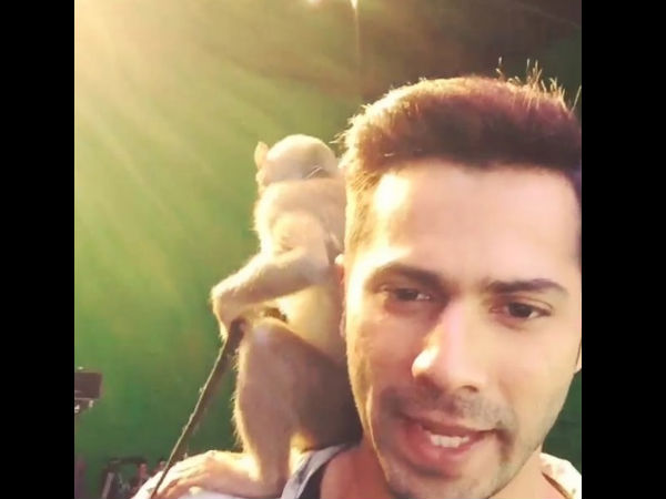 Varun Dhawan Training PK