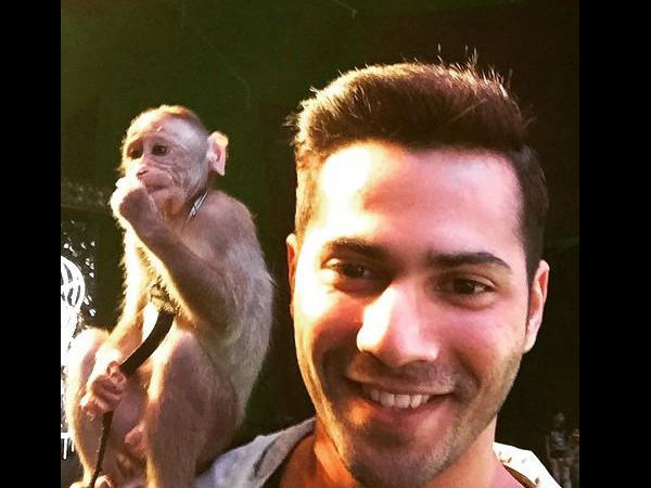 Varun Dhawan With His Monkey
