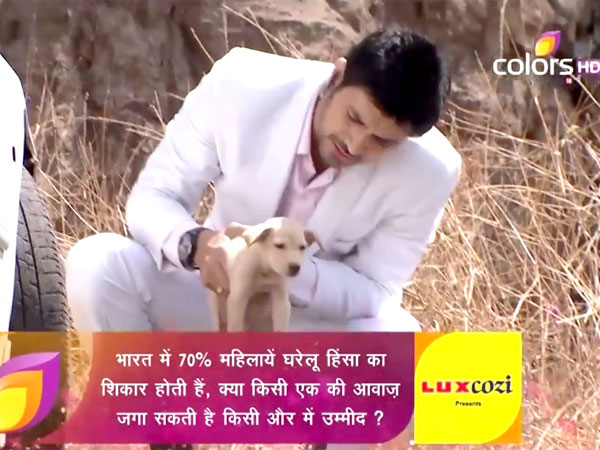 RV Saves Puppy; Scares Ishaani!