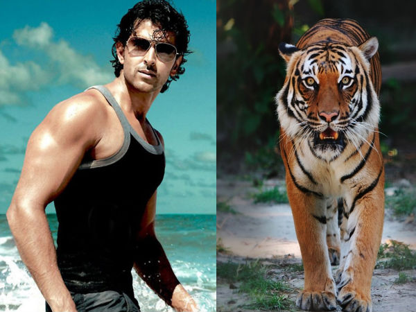 Hrithik Roshan Hrithik Roshan