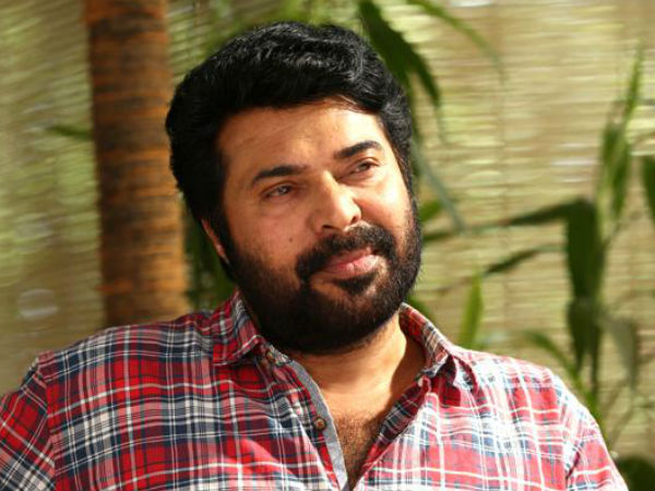 Mammootty  Mammootty News  Abdu Rabb  PN Panicker Foundation