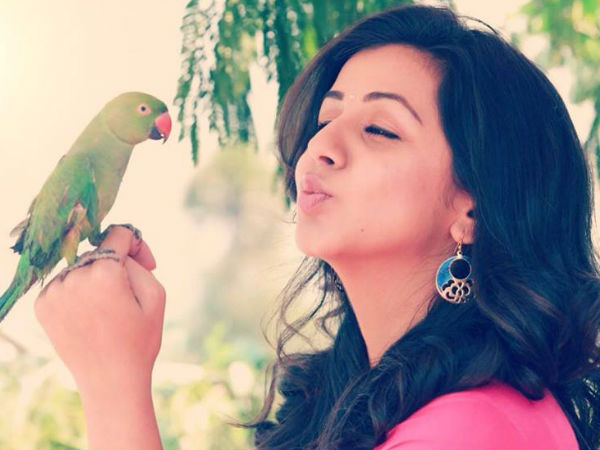 Best Debutante (Female): Nikki Galrani