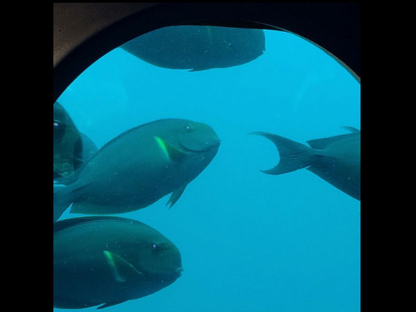 Submarine Ride