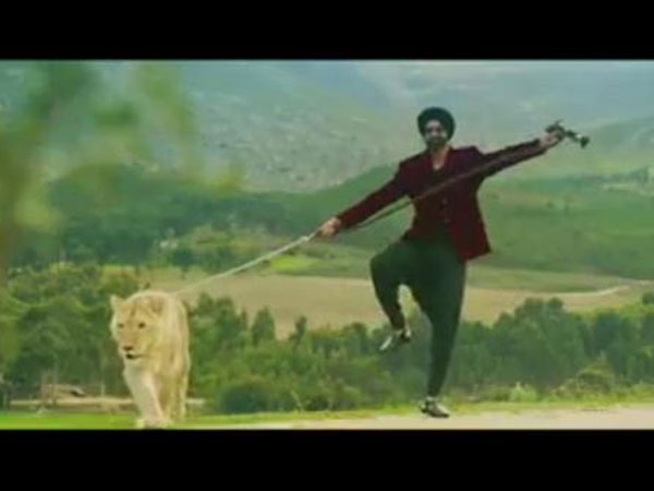 With Lion