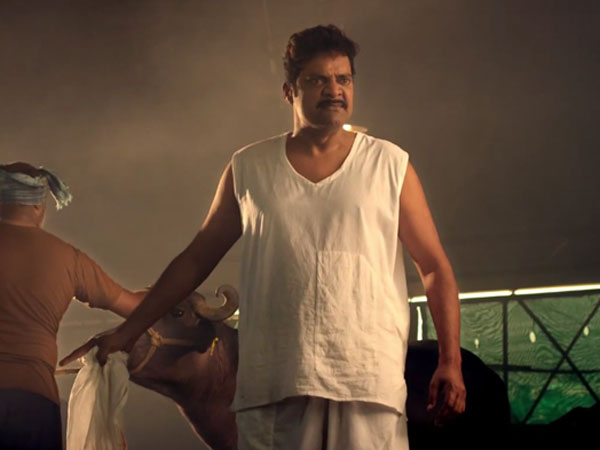 MLA Manikanta