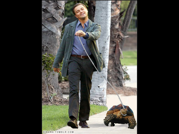 He Has A Cute Pet
