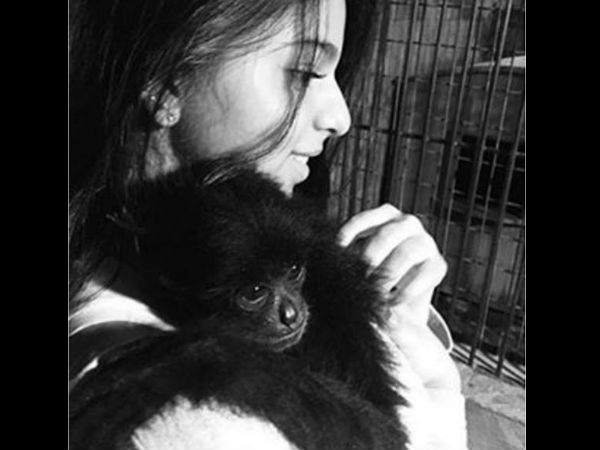 Suhana Khan Pic With Chimpanzee Suhana Khan Pic With Chimpanzee