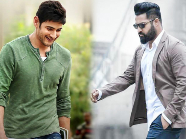 Did You Know NTR Turned Down Brahmotsavam Before Mahesh Went Ahead? Here's The Back Story Did You Know NTR Turned Down Brahmotsavam Before Mahesh Went Ahead? Here's The Back Story