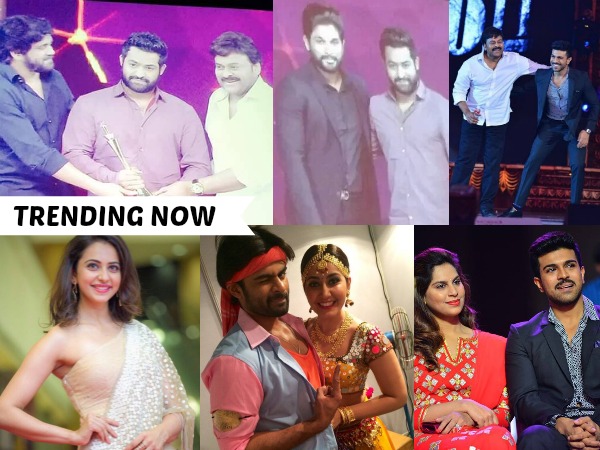 IN PHOTOS: CineMaa Awards Highlights and Complete Winners List IN PHOTOS: CineMaa Awards Highlights and Complete Winners List
