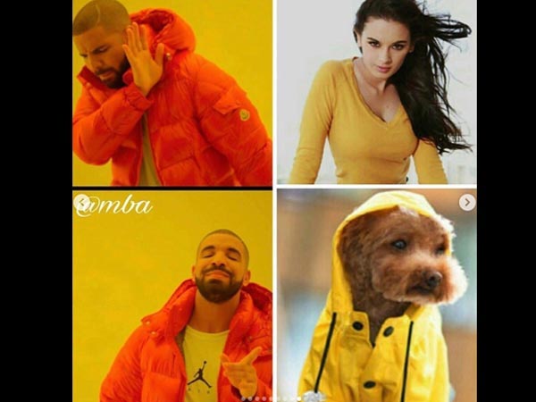 Evelyn Sharma Memes, Evelyn Sharma Asks Fans To Meme 