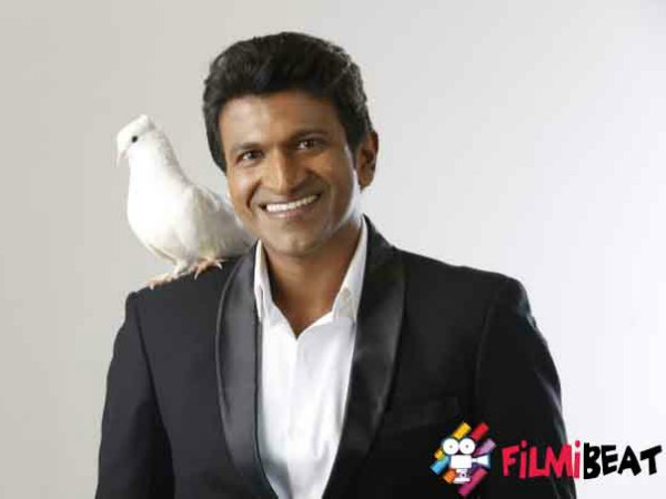 Raajakumara: 5 Reasons For The Blockbuster Success Of The Movie! Raajakumara: 5 Reasons For The Blockbuster Success Of The Movie!