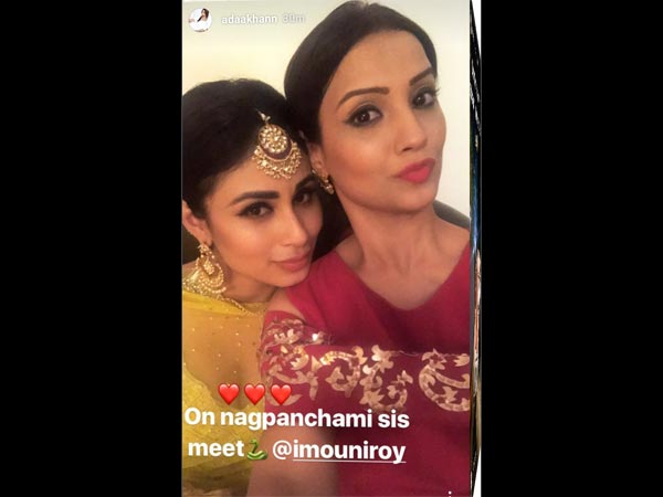 Aashka Goradia & Brent Goble Get Engaged Again; Mouni Roy, Adaa Khan