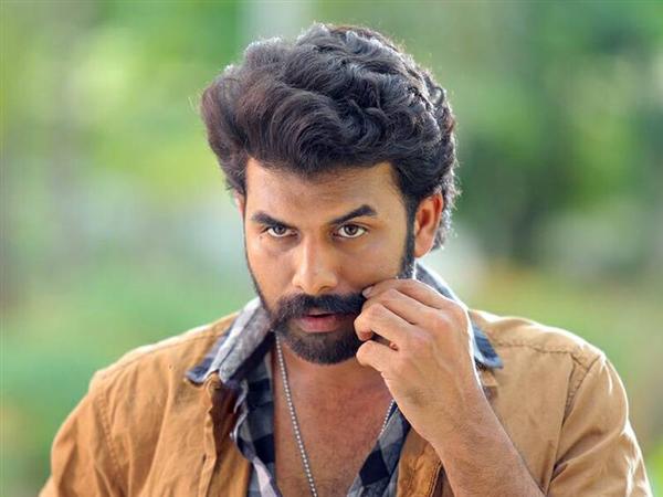 Sunny Wayne