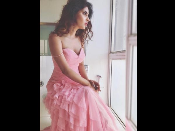 Karishma Looks Dreamy In Pink Dress