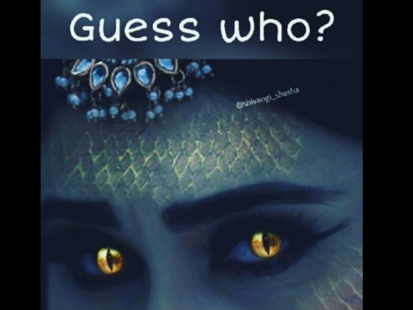 Krystle D’Souza Or Surbhi Jyoti To Bag Naagin 3; Bigg Boss 11’s Priyank