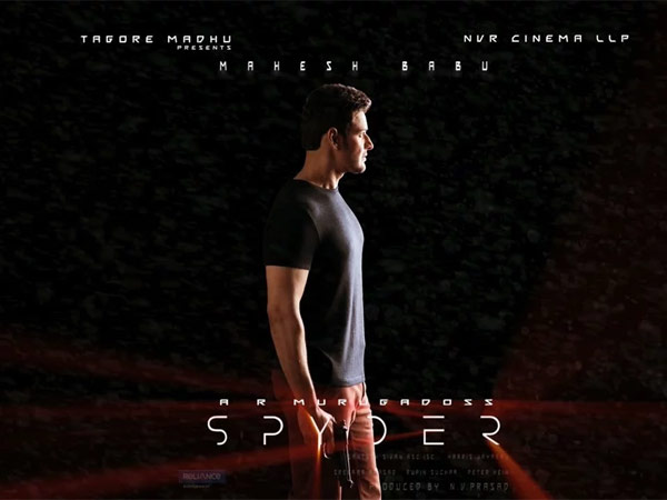 Spyder